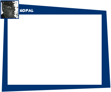 Click here to visit the official Nopal website.